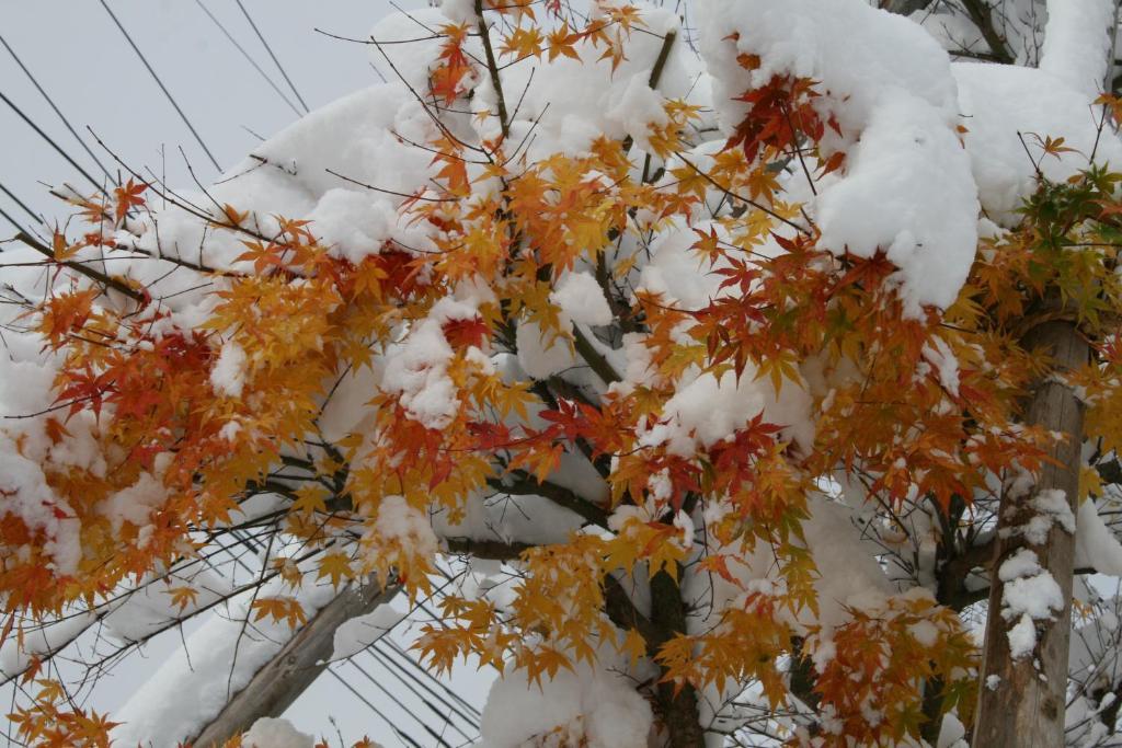 Akakura Wakui Hotel Myoko Exterior photo